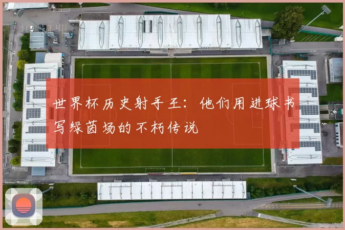 世界杯历史射手王:他们用进球书写绿茵场的不朽传说