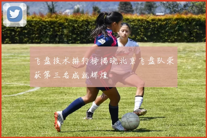 飞盘技术排行榜揭晓北京飞盘队荣获第三名成就辉煌