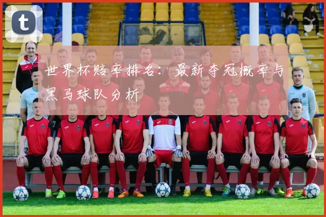 世界杯赔率排名:最新夺冠概率与黑马球队分析