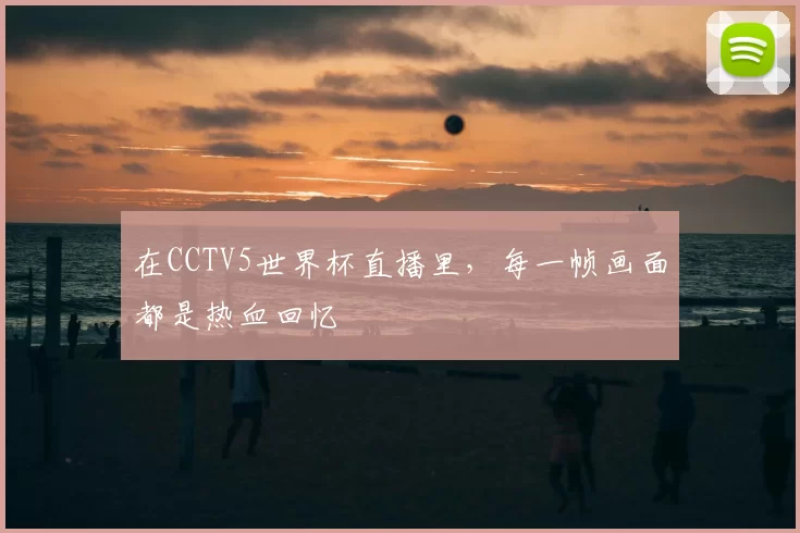 在CCTV5世界杯直播里，每一帧画面都是热血回忆