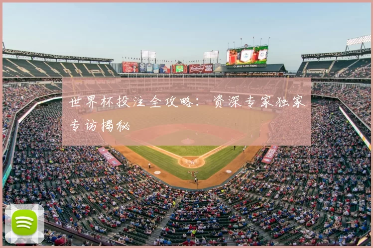 世界杯投注全攻略：资深专家独家专访揭秘