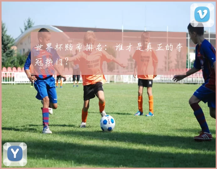 世界杯赔率排名：谁才是真正的夺冠热门？