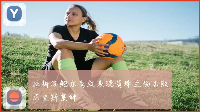 拉梅洛鲍尔高效表现黄蜂主场击败尼克斯集锦
