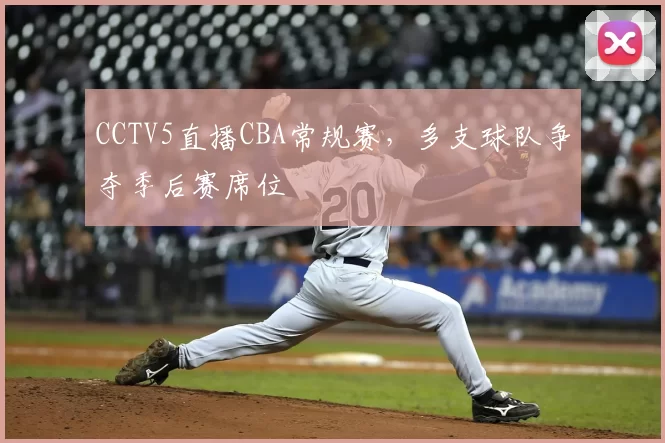CCTV5直播CBA常规赛,多支球队争夺季后赛席位