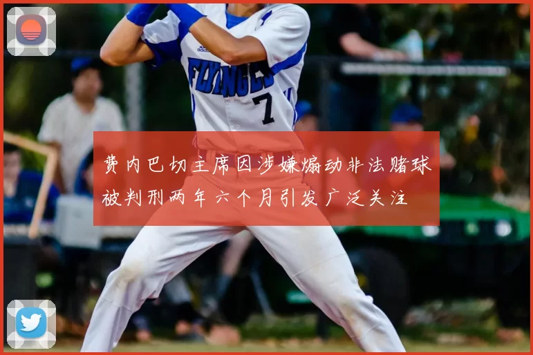 费内巴切主席因涉嫌煽动非法赌球被判刑两年六个月引发广泛关注
