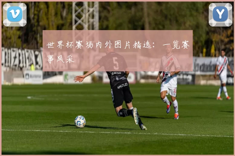 世界杯赛场内外图片精选：一览赛事风采