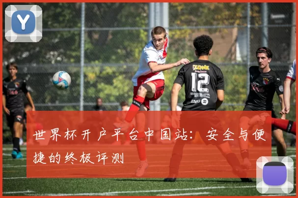 世界杯开户平台中国站:安全与便捷的终极评测