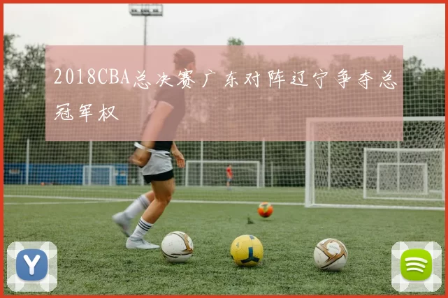 2018CBA总决赛广东对阵辽宁争夺总冠军权