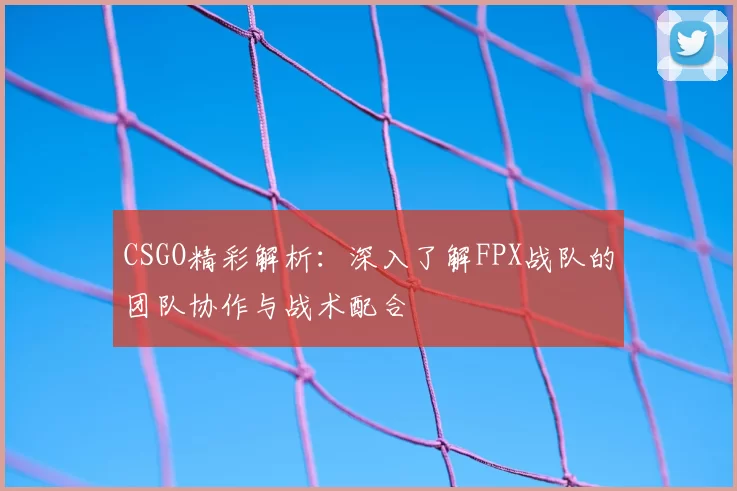 CSGO精彩解析：深入了解FPX战队的团队协作与战术配合