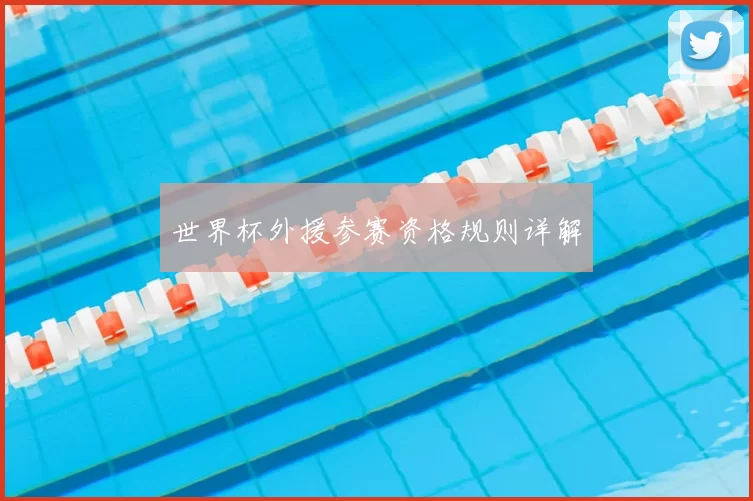 世界杯外援参赛资格规则详解