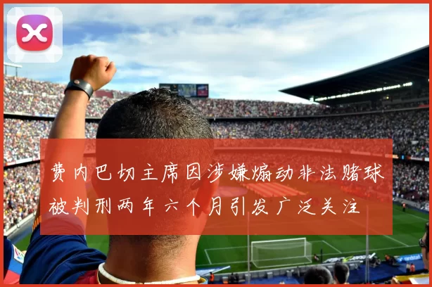 费内巴切主席因涉嫌煽动非法赌球被判刑两年六个月引发广泛关注