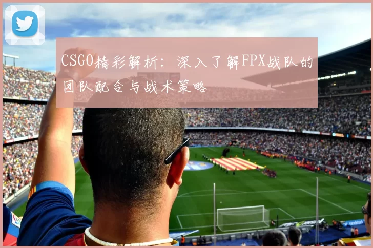 CSGO精彩解析：深入了解FPX战队的团队配合与战术策略