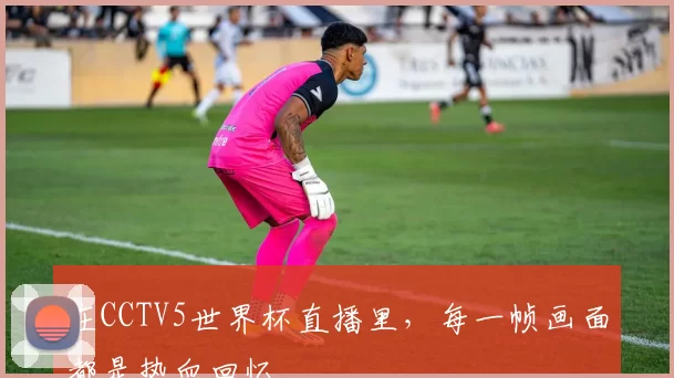 在CCTV5世界杯直播里,每一帧画面都是热血回忆