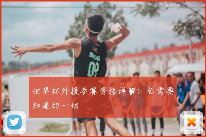 世界杯外援参赛资格详解：你需要知道的一切